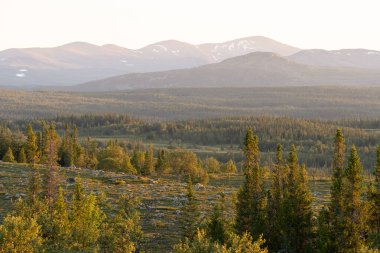 Ulusal Park Valadalen 'deki orman ve dağlar, Jamtland.