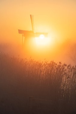 Hollanda 'da gün doğumu, geleneksel yel değirmeni ve bahar sisinde bir kanal..