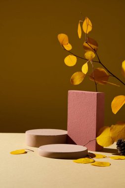 Kahverengi silindir podyumların ve kahverengi arkaplanda sarı sonbahar yapraklarıyla süslenmiş kırmızı dikdörtgen podyumun ön manzarası. Ürün sunumu için boş alan. Sonbahar konsepti