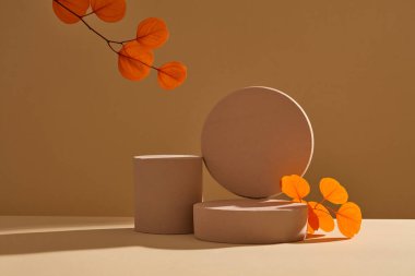 Kahverengi silindir podyumlarla süslenmiş sonbahar çiçekli çerçeve kahverengi arka planda turuncu yapraklarla süslenmiş. Ekran ürünü için boş alanı olan reklam sahnesi. Minimalist kavram