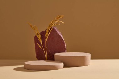 Kozmetik ürün sunumu için boş alanı olan minimal sanat arka planı. Kahverengi silindir podyumların önü kırmızı taş blokla süslenmiş ve pirinç dalları tahılla dolu.