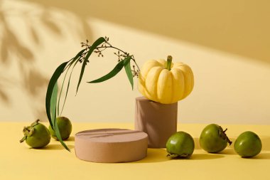 Yeşil hurma ağaçları, yeşil yapraklarla süslenmiş sarı balkabağı ve sarı arka planda kahverengi silindir podyumlar. Reklamcılık için minimalist sahne, gösteri için alan