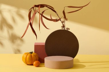 Minimalizmin yaratıcı konsepti. Kuru izin dalı, balkabağı ve kiraz domatesi ile süslenmiş doğal gölge yapraklı sarı arka planda boş podyumlar. Ön manzara, reklam fotoğrafı.