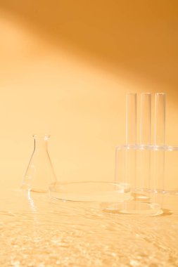 Rafta Erlenmeyer şişesi ve cam podyumlarla sergilenen birkaç test tüpü var. Ürün ya da ürün sunumu için boş alan. Bilim içeriğini araştır