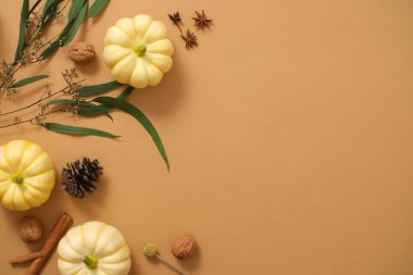 Yaratıcı asgari afiş arka planı. Kahverengi arka planda, küçük balkabakları ağaç dallarını uzun yeşil yapraklar ve kuru fındıklarla süsler. Üst görünüm, dizayn ve kopyalama alanı için boşluk