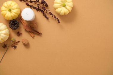 Balkabaklı sonbahar çiçeği çerçevesi, kuru dal yaprakları, mum ve kahverengi arka planda biraz kuru fındık. Kozmetik ve ticari markalaşma için kopyalama alanı olan minimal sanat arkaplanı