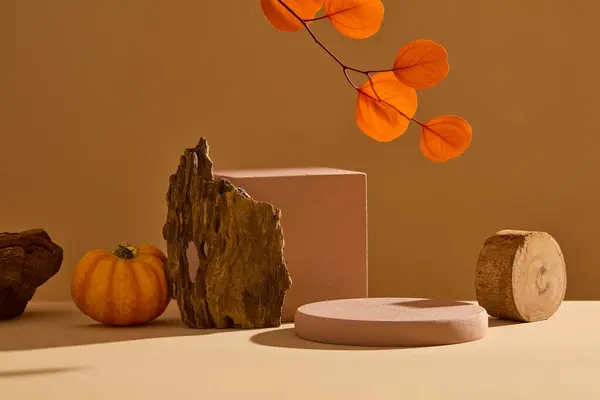 秋のコンセプトによる写真 茶色の背景には カボチャ 乾いたツイッグ 葉で飾られた空の表彰台があります 化粧品のモックアップスペース 広告コンセプト — ストック写真