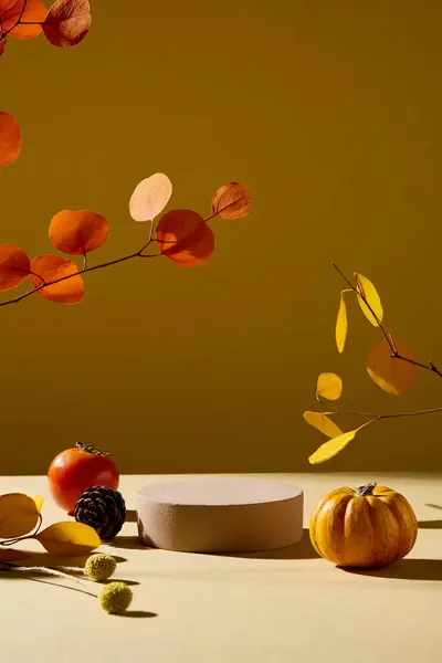 カボチャ トマト ドライパインコーンで秋の背景に表示される茶色のシリンダー表面のフロントビュー 化粧品を表示するための空白スペース — ストック写真