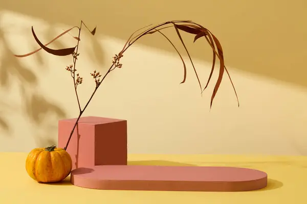 秋のコンセプトデコレーションと化粧品や製品プレゼンテーションのためのミニマリストの創造的な背景 カボチャと乾燥した葉の枝が黄色の背景に表示された赤い空の表彰台 — ストック写真