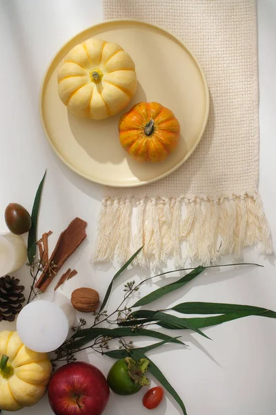 Şükran Günü konseptiyle reklam sahnesi. Beyaz bez ve sonbahar bitkileriyle süslenmiş yuvarlak seramik bir kabak tabağı, kurutulmuş fındık ve beyaz arka planda mum. Ön görünüm, tasarım için alan