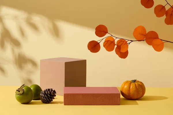 オレンジ色の乾燥した葉の枝 カボチャ 緑のペリモンおよび黄色の背景で飾られる乾燥した松の円錐が付いている秋の季節の抽象的な背景 製品ショーケースのための最小のシーン — ストック写真