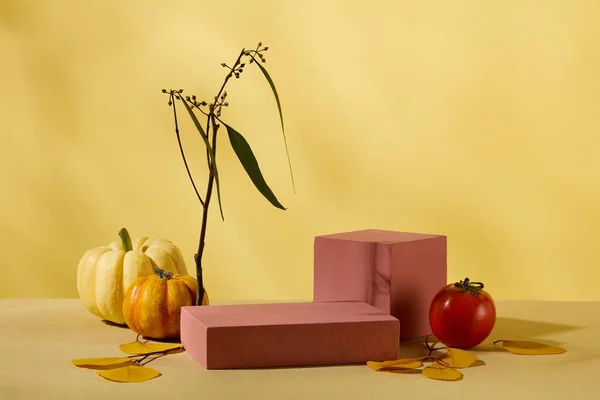 化粧品や包装モックアップのためのペデスタル 秋の雰囲気のプレゼンテーション カボチャ トマト 葉が黄色の背景に飾られたジオメトリ表彰台のフロントビュー — ストック写真