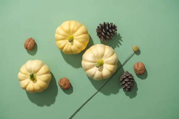 緑の背景にドライパインコーンとクルミで飾られたミニカボチャのトップビュー ユニークな装飾アイデア 暖かい秋と幸せな感謝祭 — ストック写真