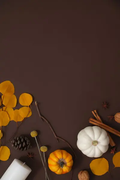 小さなカボチャ 乾燥した秋の葉 そして乾燥した種子が創造的に装飾された暗い茶色の背景 ディスプレイやデザインのためのスペース ソーシャル広告のための垂直フレーム写真 — ストック写真