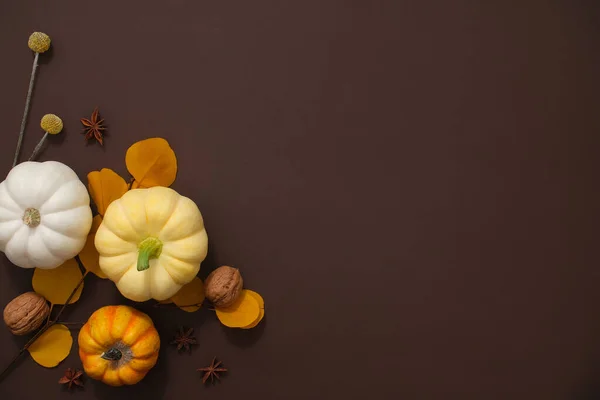 暖かい濃い茶色の背景を持つクリエイティブな秋の装飾 パンプキン 乾燥した葉 乾燥した星のアニスおよびクルミは設計のためのスペースを作成するために角に置かれます — ストック写真