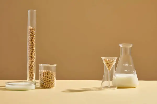 Beige Background Some Glassware Containing Soybean Seeds Milk Displayed Vacant — Stock Photo, Image