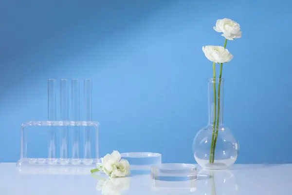 Glass Podium Shaped Displayed Some Test Tubes Rack Pot White — Stock Photo, Image