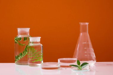 İki kavanoz ve bir petri kabıyla düzenlenmiş düz dipli bir çiçek şişesi. Galeri geometrik boş ürün kozmetik ürün sunumunu temsil ediyor. Turuncu arkaplan