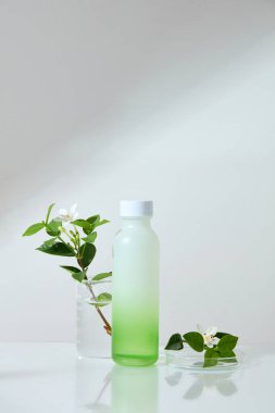 Beyaz arka planda boş etiketli bir şişeyle düzenlenmiş cam bir petri kabı ve bitki dalları. Cilt bakımı güzellik kozmetik tüpü.