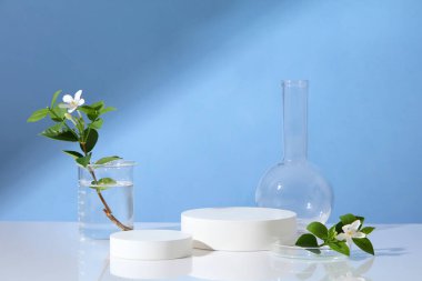 Farklı boyutlarda yuvarlak podyumlar. Petri kabı, beher kabı ve düz dipli florans şişesiyle sergileniyor. Bilim reklamcılık laboratuarı geçmişi