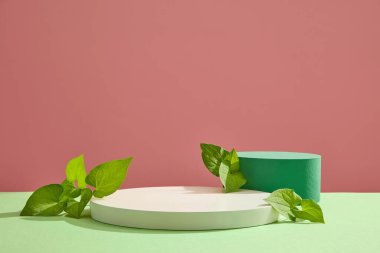 Beyaz podyum ve naneli balık yapraklarıyla yeşil renkli silindir podyum. Nane şekerinin iltihaplanma önleyici özellikleri onu çeşitli hastalıklar için harika bir doğal tedavi yapar.