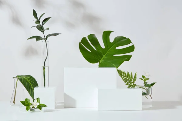 立方体と長方形の白い表彰台は 多くの種類の葉で配置されています 新製品のコンセプトシーンステージショーケース プロモーション販売 化粧品プレゼンテーション — ストック写真