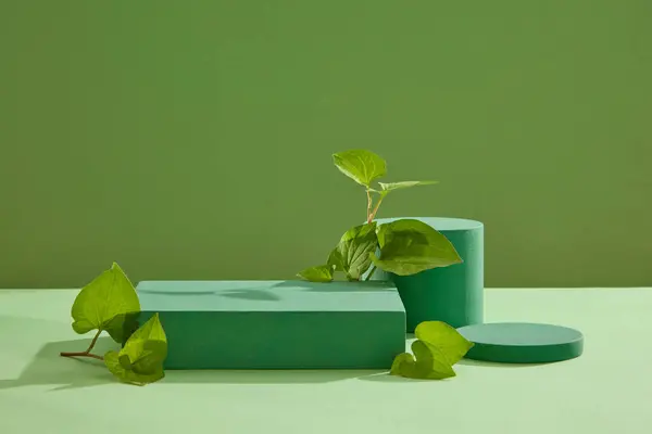 Grüne Podeste Geometrischen Formen Die Mit Minzblättern Verziert Sind Mock — Stockfoto
