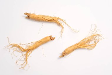 Beyaz arka planda taze ginseng kökleri izole edilmiş. Geleneksel tıbbın minimalist sahnesi ve Kore 'den gelen orijinali sağlık için iyidir. Üst manzara, düz uzanma