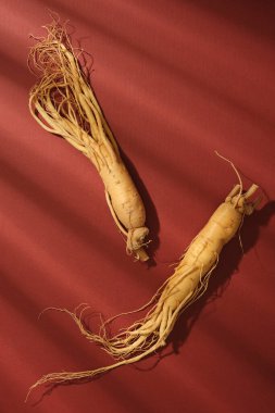 Kırmızı arkaplanda, pencere gölgesinde iki ginseng kökü sergileniyor. Ginseng 'in iltihaplı işaretlerin azaltılmasına ve oksidatif strese karşı korunmasına yardımcı olduğu gösterildi..