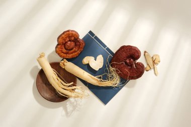 Taze ginseng kökleri ve ahşap tabak ve beyaz arka planda mavi defterle süslenmiş lingzhi mantarları. Üst manzara, düz yatak ve pencerenin gölgesi. Bitkisel malzeme