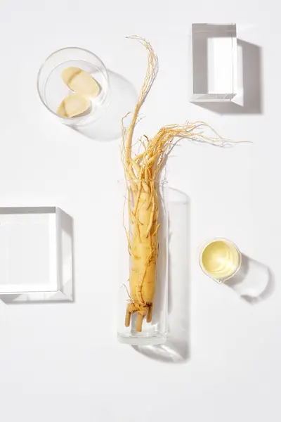 韓国産ハーブ成分の広告 ブランディング用ミニマルシーン 白い背景にいくつかのガラス表彰台で装飾されたガラス花瓶の新鮮な人参 — ストック写真