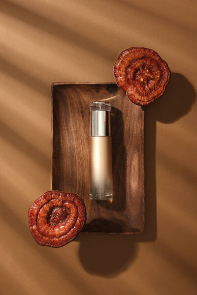 Minimal scene for advertising cosmetic of lingzhi mushroom extract. On a wooden dish, a bottle without label displayed with two lingzhi mushrooms on brown background. Cosmetics tubes mockup for design