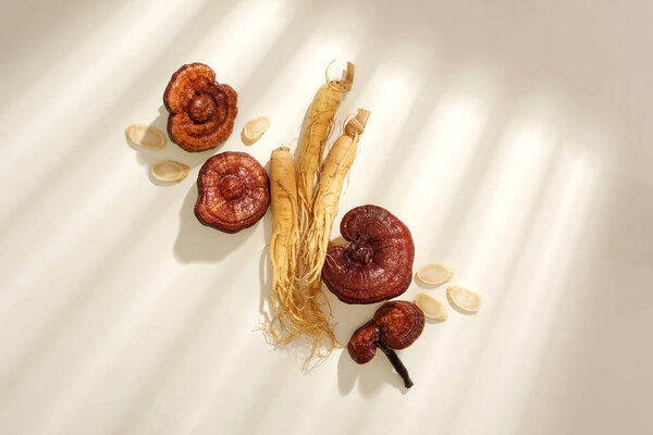 Scene for advertising natural ingredient good for health. Some rare herbs, ganoderma mushrooms, roots and slices of ginseng decorated on white background and shadow of window