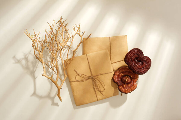 Traditional Chinese medicine is used in improving health. Lingzhi mushrooms displayed with medicine packaging and dry twigs on white background. Ganoderma helps prevent cardiovascular diseases