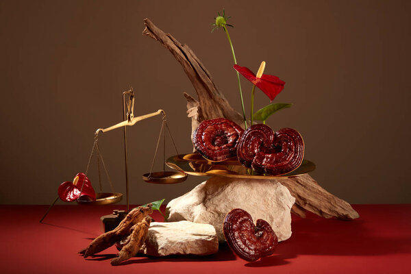 Concept for advertising herbal ingredient with ganoderma mushroom and red ginseng. Block of stones, twig and scale decorated with herbal on brown background. Space for design