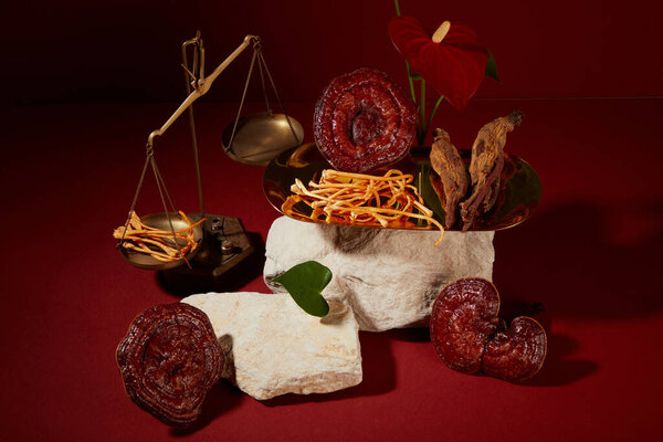 On red background with dark mood, lingzhi mushroom, cordyceps and red ginseng decorated with beige stones, flower and golden scale. Space for display product extracted from herbal