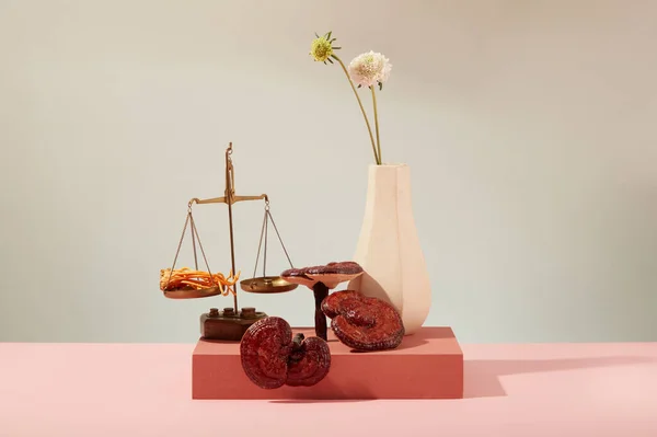 黄金のスケールにコードスケープと赤い表彰台に花のセラミック花瓶で飾られたガンデルマのキノコのフロントビュー ハーブ成分の広告用シーン — ストック写真