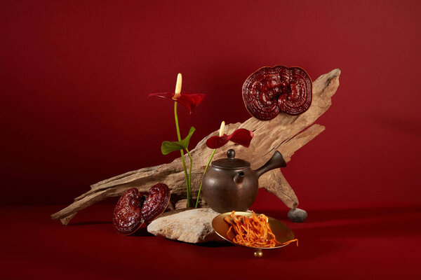 Minimal style, advertising photo for product with herbal ingredients. Cordyceps and lingzhi mushroom decorated with dry twig and flower on red background. Space on stone for display