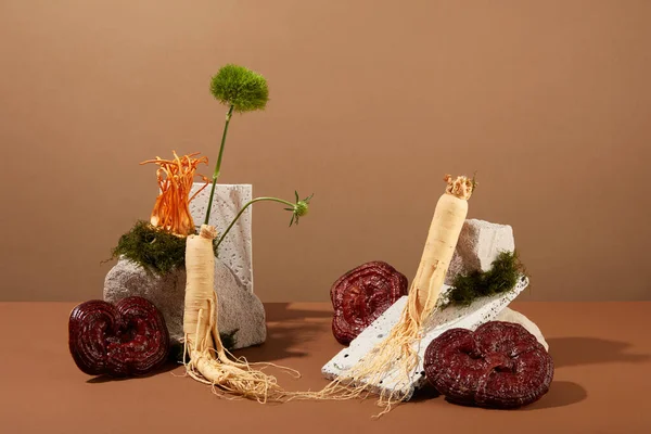 Kreativ Scen För Reklam Produkt Från Traditionell Medicin Ingrediens Ginseng — Stockfoto