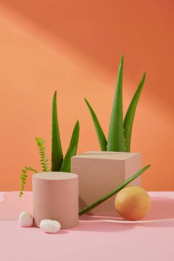 Çeşitli podyumlarda ışıl ışıl aloe vera kozmetik ürünleri için alan, turuncu bir arkaplana karşı pembe bir masa üzerinde yerleştirilmiş, gür aloe yaprakları ile mükemmel bir tanıtım ortamı.