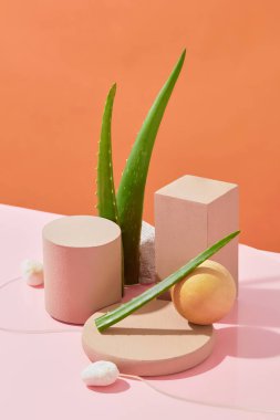 Aloe vera özütüyle zenginleştirilmiş kozmetik ürünlerinin tanıtımı için aloe vera yapraklı pembe bir masa üzerindeki çeşitli platformlar..