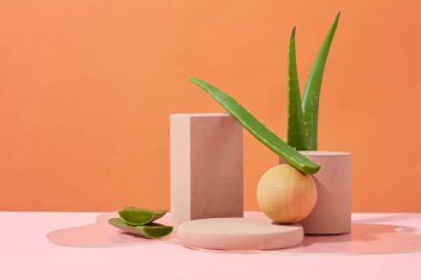 Farklı şekillerde platformlar pembe bir masanın üzerinde yan yana dizilir. Aloe vera yapraklı turuncu arka plan. Aloe vera özetiyle kozmetik reklamları için ideal alan.