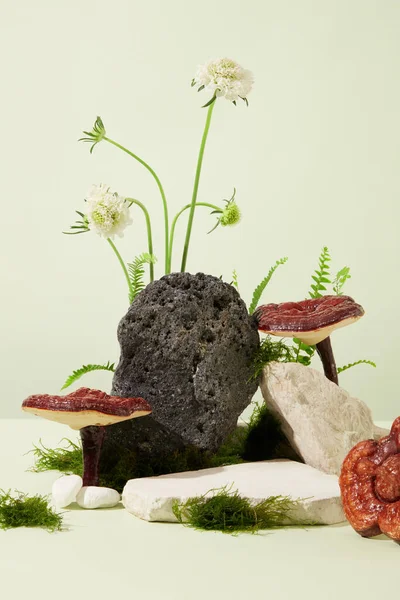 Fronten Steinene Dekorert Med Lingzhi Sopp Ville Blomster Grønn Mos – stockfoto