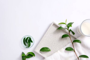 Petri kabına taze yeşil çay yaprakları, minimalist arka planda bir bardak beyaz sıvı. Yeşil çay saç dökülmesini önleyen doğal bir bileşendir..