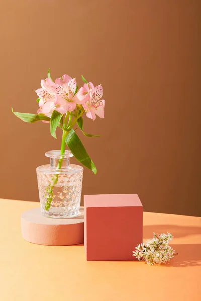 Fresh flowers are arranged in a small glass vase placed on a round platform. Square podium to display products for advertising. Warm color background. Copy space.