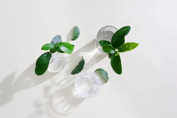 緑茶の枝は白い背景に水のガラスカップに置かれています 雑誌などのための最小限の画像 ミニマリストで洗練されたコンセプト — ストック写真