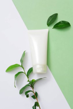 Arka plan markasız krema tüpü ve yeşil çay yapraklarıyla iki minimalist renge bölünmüştür. Kozmetik markalaşma için boş etiketler. Reklamlar için alanı kopyala.