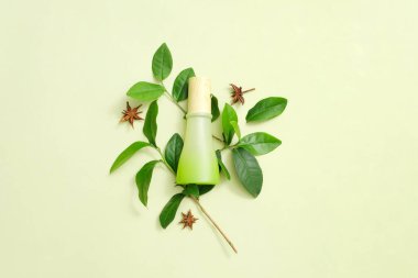 Saf yeşil çay malzemeleriyle ev yapımı kozmetik ürünleri ahşap kapaklı yeşil bir şişede bulunur. Vejetaryen kozmetik kavramı. Doğal güzellik..