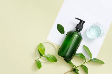 Yeşil çayın içindeki polifenollerin varlığı saç gelişimini hızlandırır ve saç foliküllerinin gelişmesine yardımcı olur. Yeşil çay özlü şampuan maketi. Kozmetik reklamları.