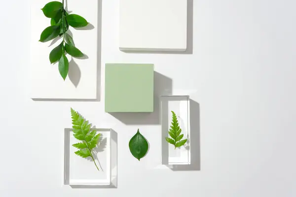 フェルナンと緑の葉は透明なガラスのプラットフォームに表示され パステルグリーンプラットフォームは白い背景を中心としています 表示のための理想的なスペース — ストック写真